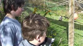 Zac and Ash hear about the Woolly Monkeys at the Monkey Sanctuary from one of the keepers, 16.5 miles into the ride